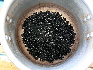 黒インゲン豆 って 作家と不思議なカレー の話 黒インゲン豆 って 作家と不思議なカレー の話