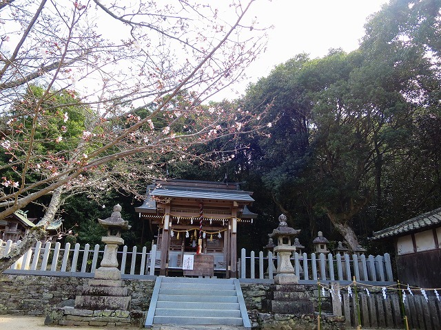 熊野古道・紀伊路　川端王子～伊太祁曾神社までー２_b0326483_15565538.jpg