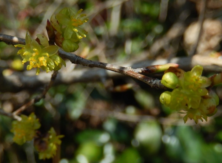 c0144185_9133076.jpg