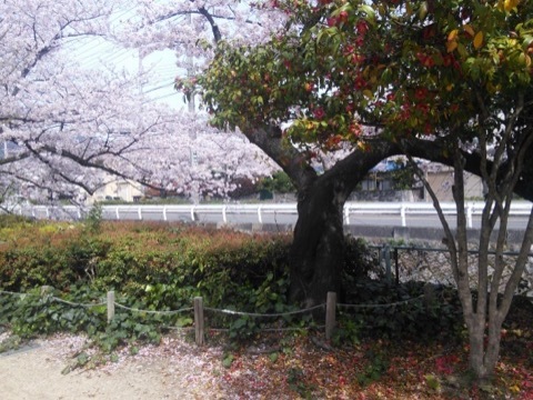 d0115985_07525483.jpeg