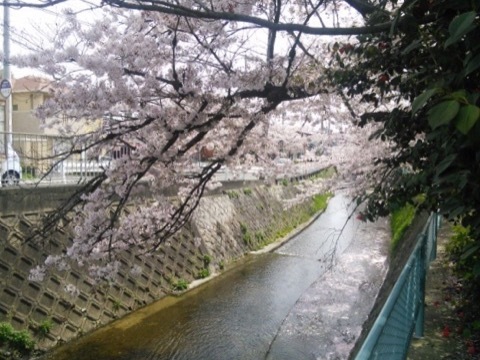 d0115985_07531814.jpeg