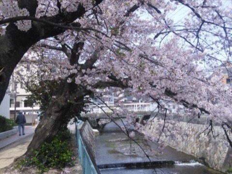 d0115985_08135062.jpeg