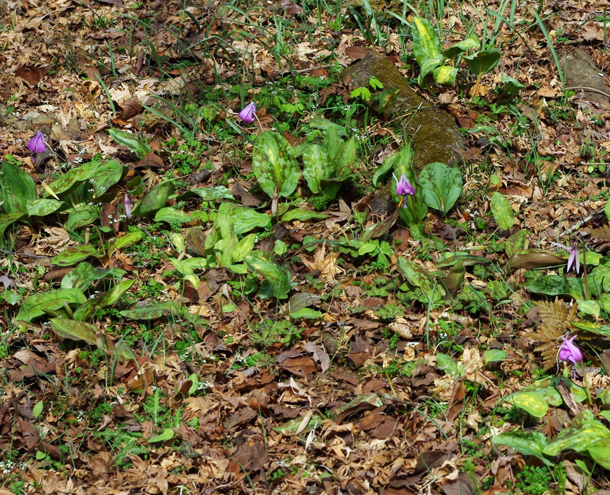 b0123486_17504048.jpg