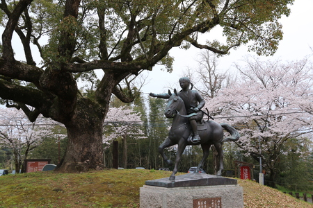 田原公園の桜_b0062793_14343423.jpg