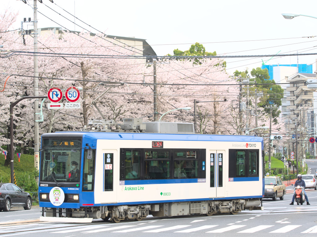 2016 4 4 都電荒川線 飛鳥山交差点_e0132794_16142149.jpg