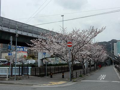 b0051598_21375296.jpg