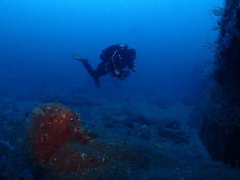 e0115199_13393499.jpg