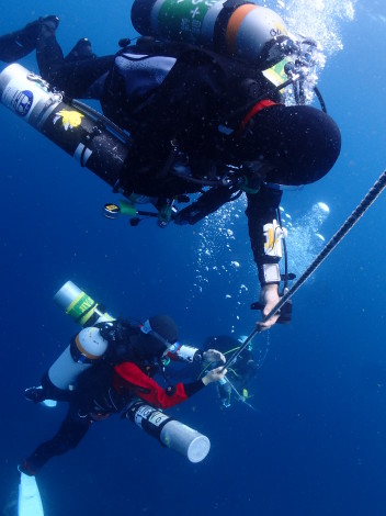 e0115199_13424683.jpg