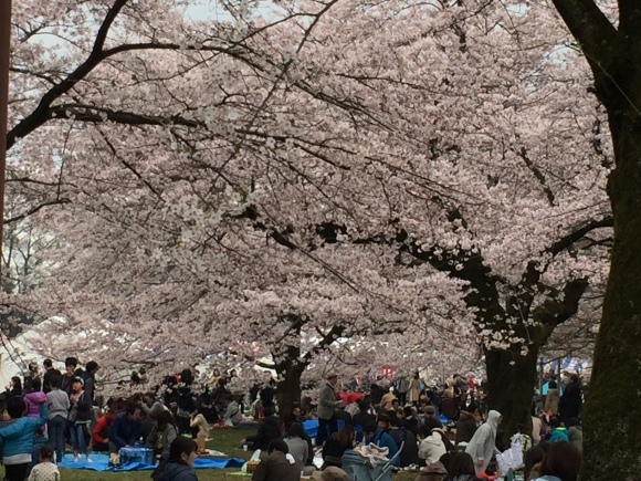 a0288500_17275875.jpeg
