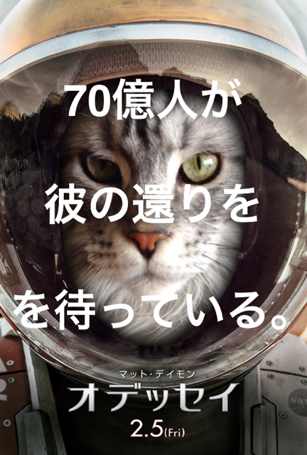 d0335701_16441635.png