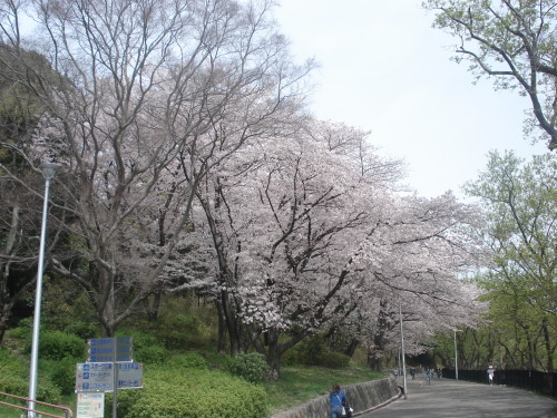 e0353802_16240613.jpg