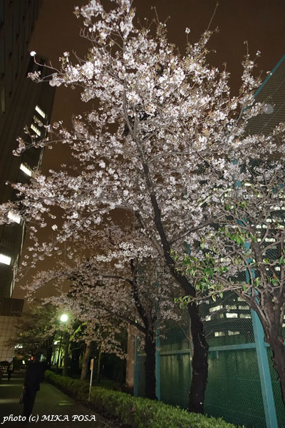 アニエスベー 2016 秋冬コレクション_b0164803_0304656.jpg