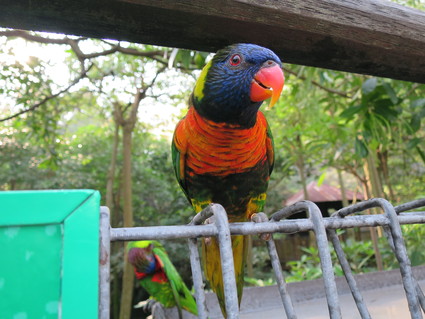 c0212604_21574517.jpg