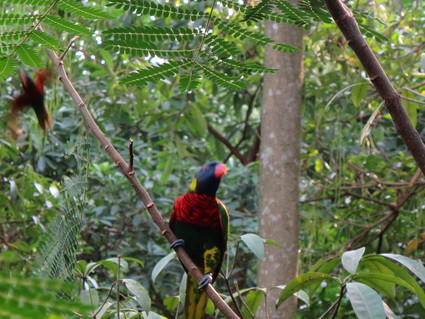 c0212604_2232872.jpg
