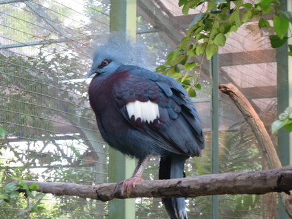 c0212604_2245068.jpg