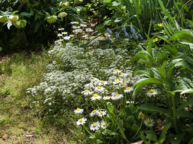 e0234004_2121492.jpg
