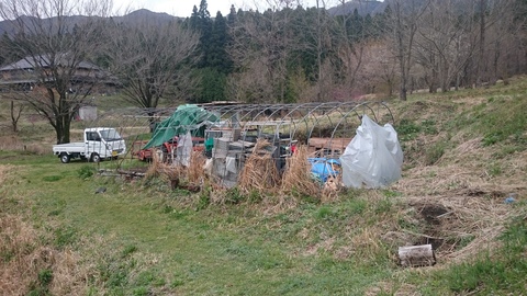 d0161105_1331252.jpg