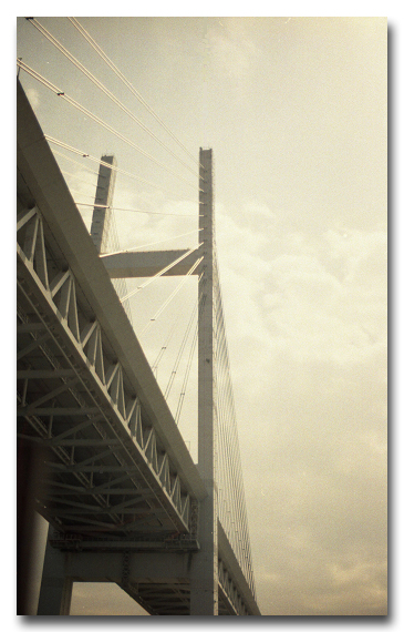e0175405_6461336.jpg