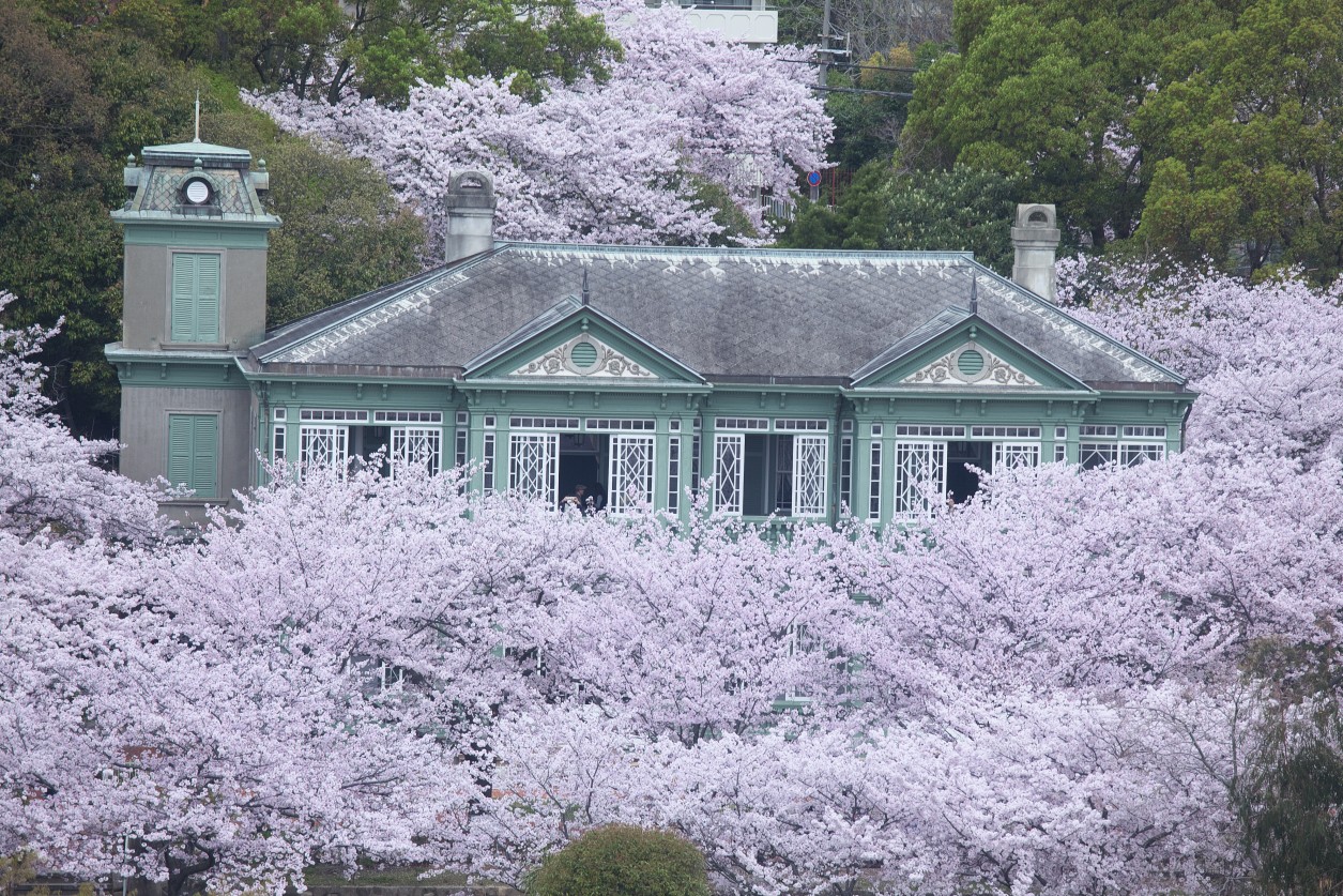 旧ハンター邸の桜_c0248507_20501790.jpg