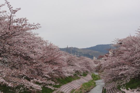 d0330311_20303548.jpg