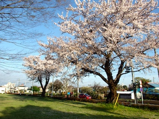 c0248013_10583515.jpg