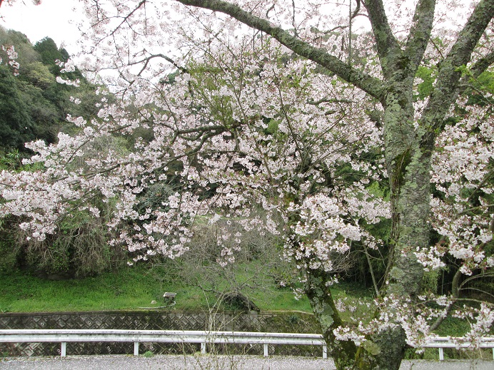 d0200414_194296.jpg