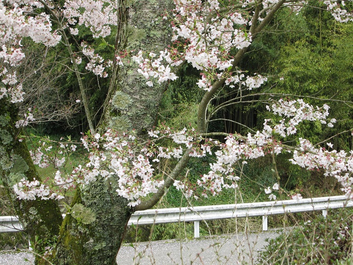 d0200414_194646.jpg