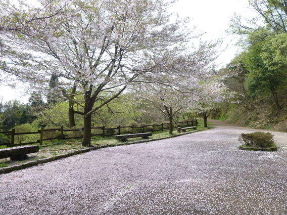 今日のお気に入り写真　百々ｹ峰 (418M)_d0170615_1915097.jpg