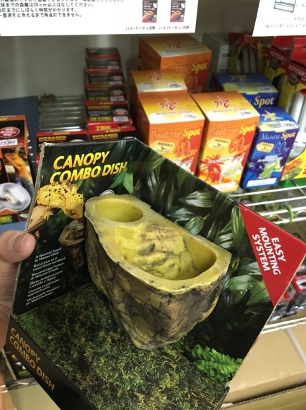 f0351616_00035413.jpeg