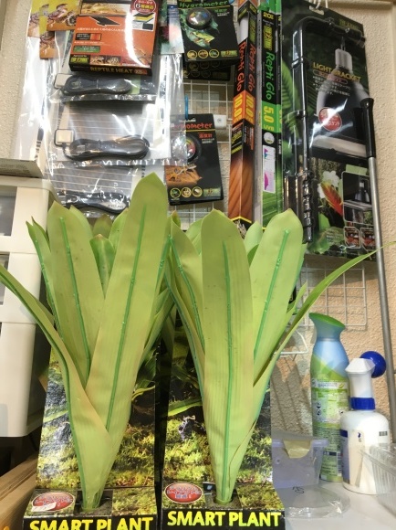 f0351616_00272959.jpeg