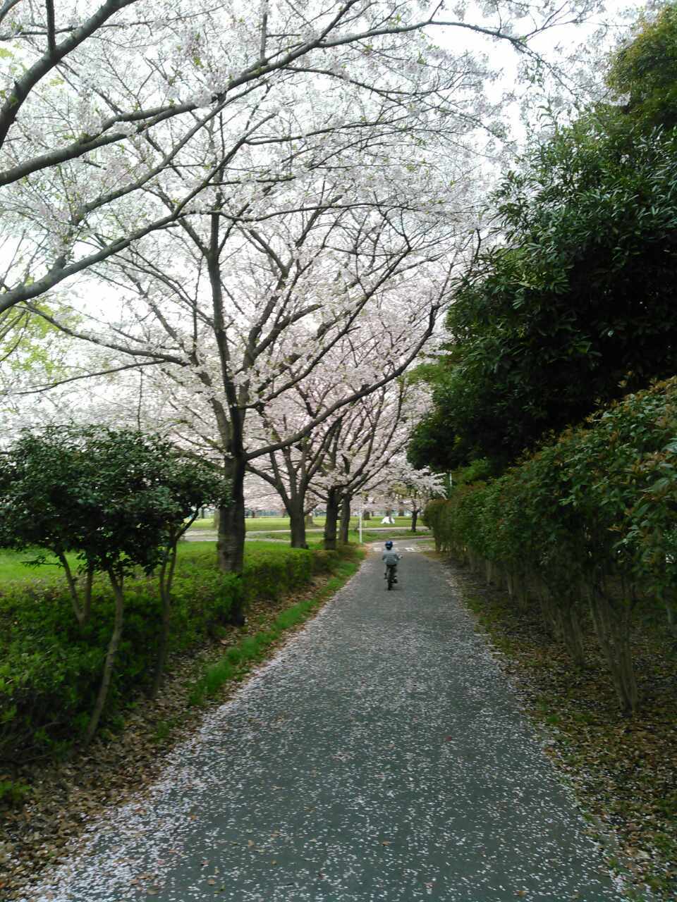 f0144724_20121129.jpg
