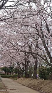c0109726_17483910.jpg