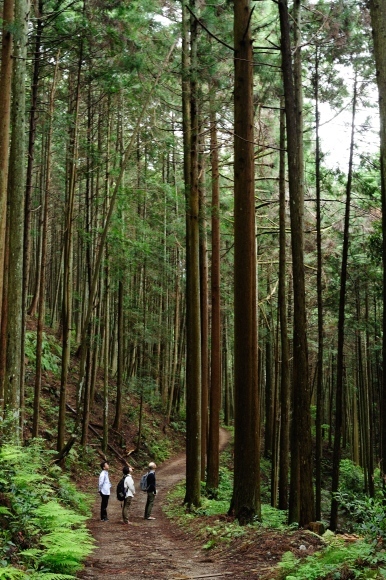 ▲「だいたい満月」番外編⇒「だいたい吉野」案内_a0355629_23524996.jpg