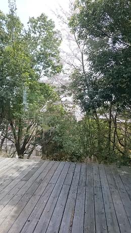 f0106532_23282756.jpg