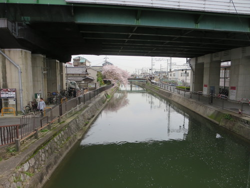 a0204337_16242327.jpg