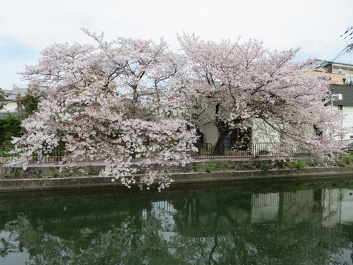 a0204337_16251517.jpg