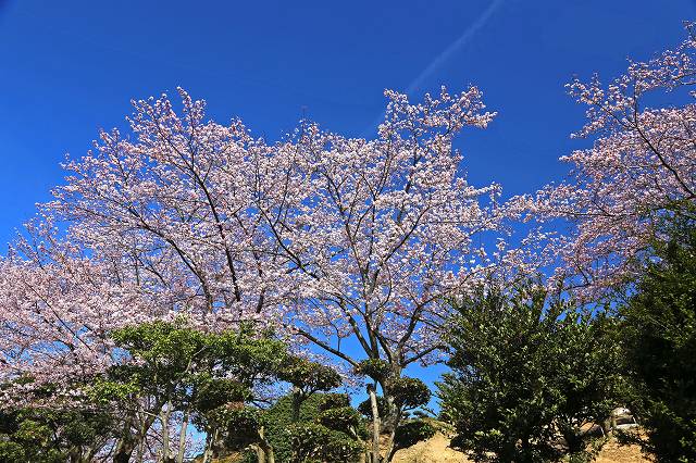a0242438_2249296.jpg