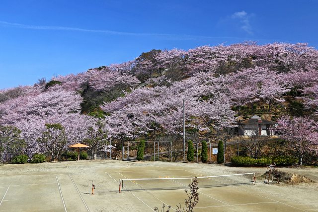 a0242438_22522310.jpg