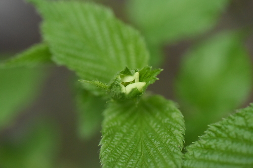 f0302638_1291570.jpg