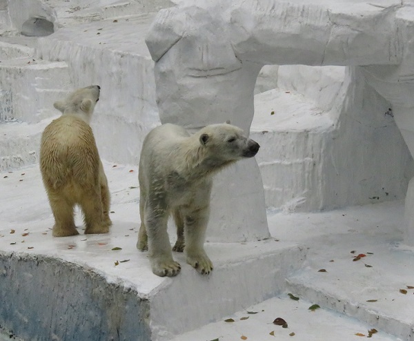 f0002743_222853100.jpg