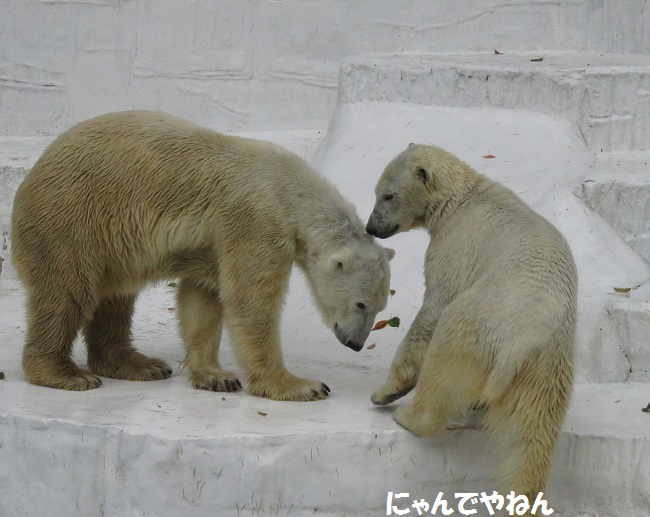 f0002743_22294787.jpg