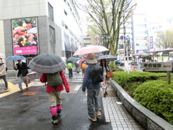 雨のスタート！煮貝の道　第１回_f0019247_20403039.jpg