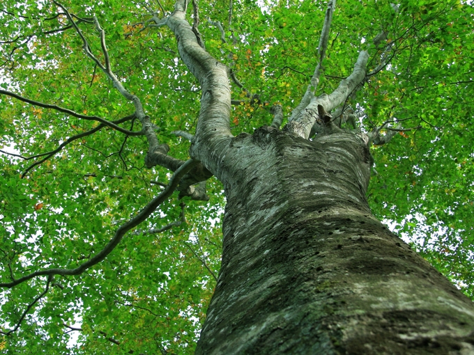 e0011951_1813927.jpg
