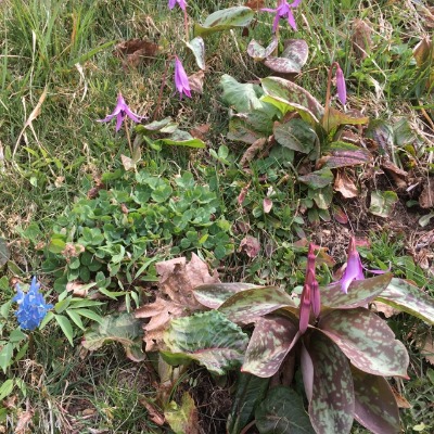春一番のキトウシ山~東川_e0326953_6521791.jpg