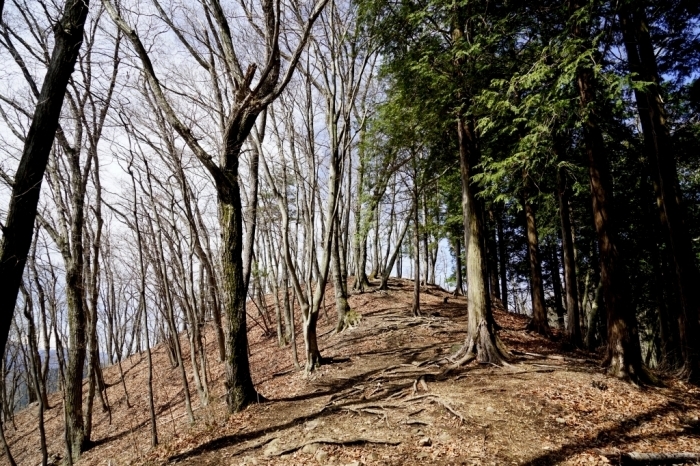 秋山山系・秀麗富嶽十二景＠倉岳山　2016.04.06(水)_f0344554_07494224.jpg