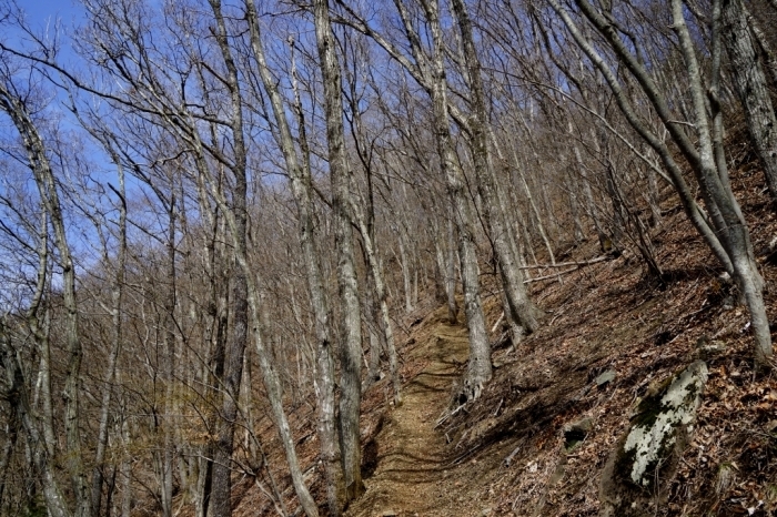 秋山山系・秀麗富嶽十二景＠倉岳山　2016.04.06(水)_f0344554_09180447.jpg