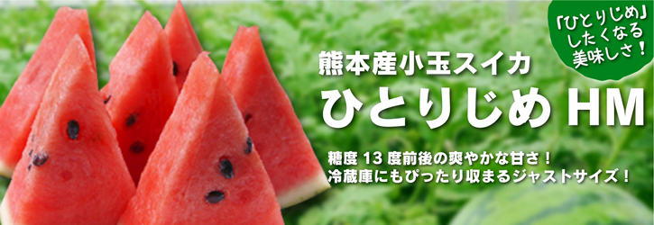 熊本産!小玉スイカ「ひとりじめHM」大好評販売中!令和5年度本日初出荷!大玉スイカは4月中旬から!_a0254656_16361427.jpg