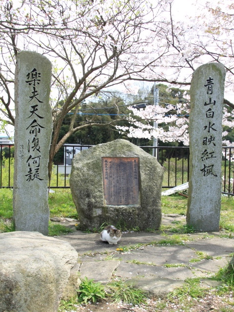 春風に浮かれて天拝公園の桜を満喫する　d(-_-)b〜♪_b0124456_002598.jpg