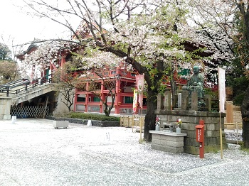 花まつり_a0061057_1926773.jpg