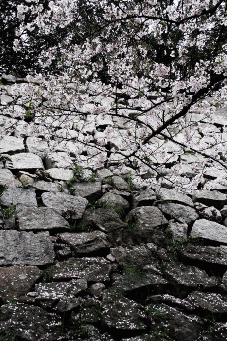 b0277257_232243.gif